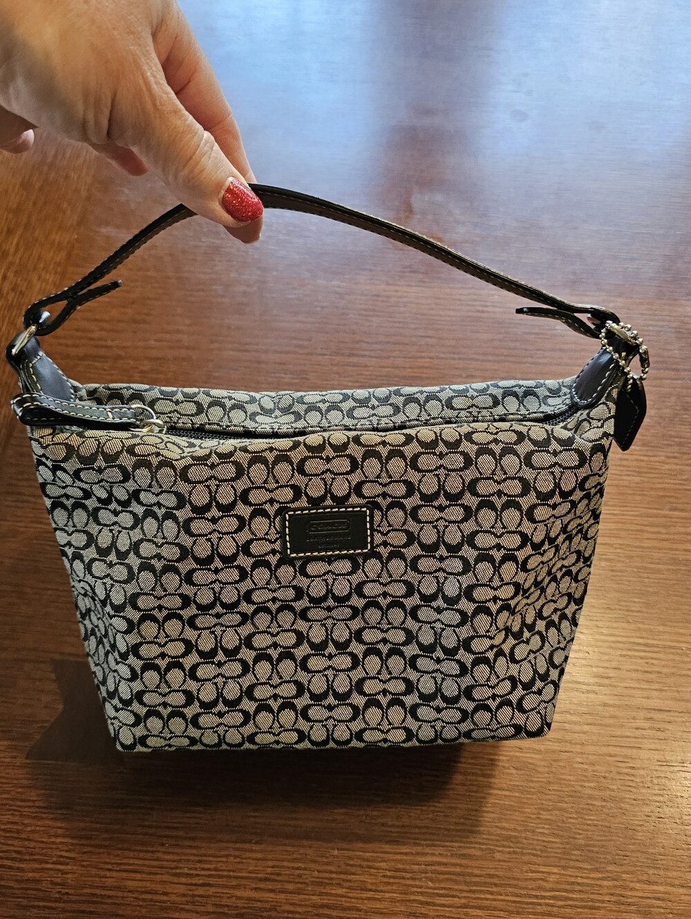 Coach Signature Mini Purse